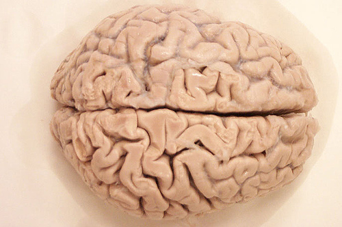 What is Monoatomic? Brain What is Monoatomic? Brain