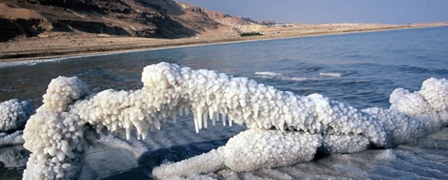 Sea Minerals SALTS Sea Minerals SALTS